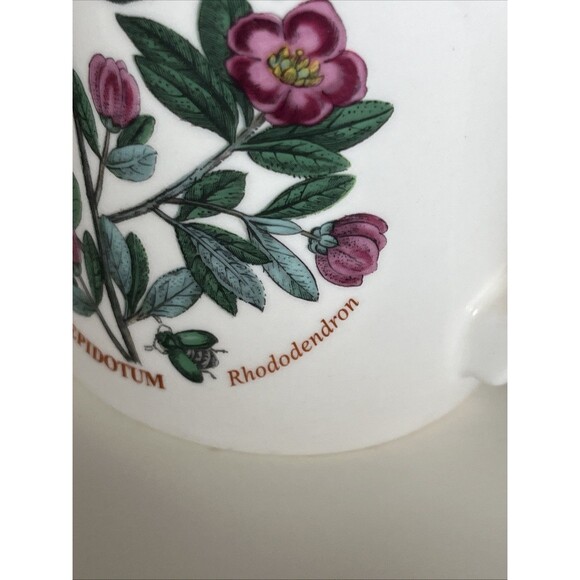 Set of 2 Portmeirion Botanic Garden Hydrangea Forget Me Nots Coffee Yea Mugs - Picture 5 of 14